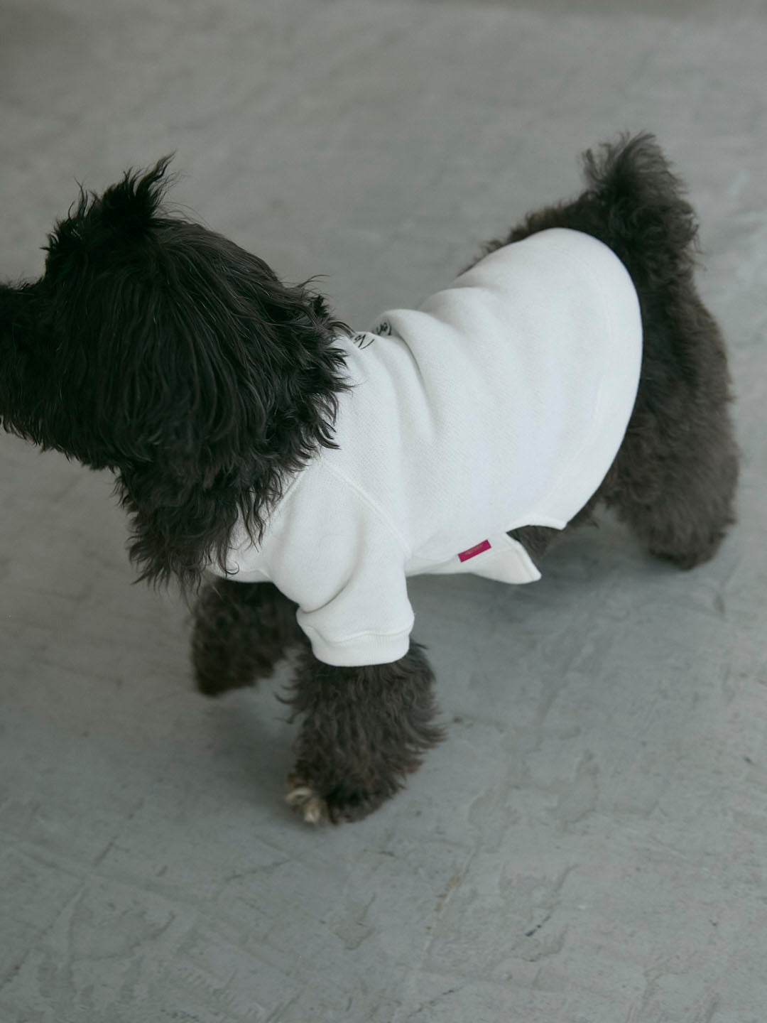 No Swim Club Dog wear(G0135-J1CO02)