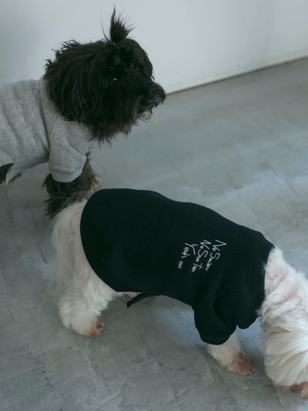 No Swim Club Dog wear(G0135-J1CO02)