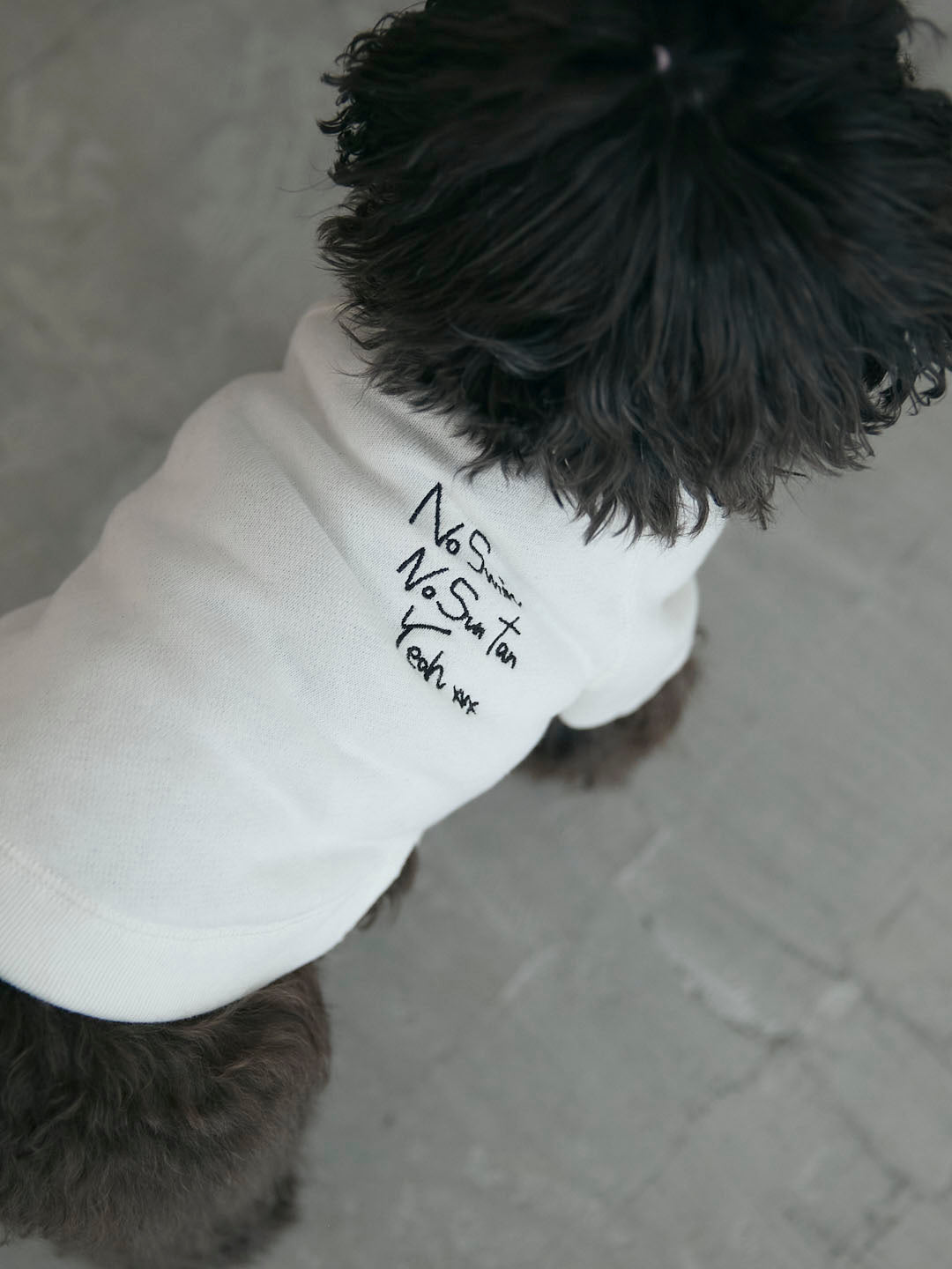 No Swim Club Dog wear(G0135-J1CO02)