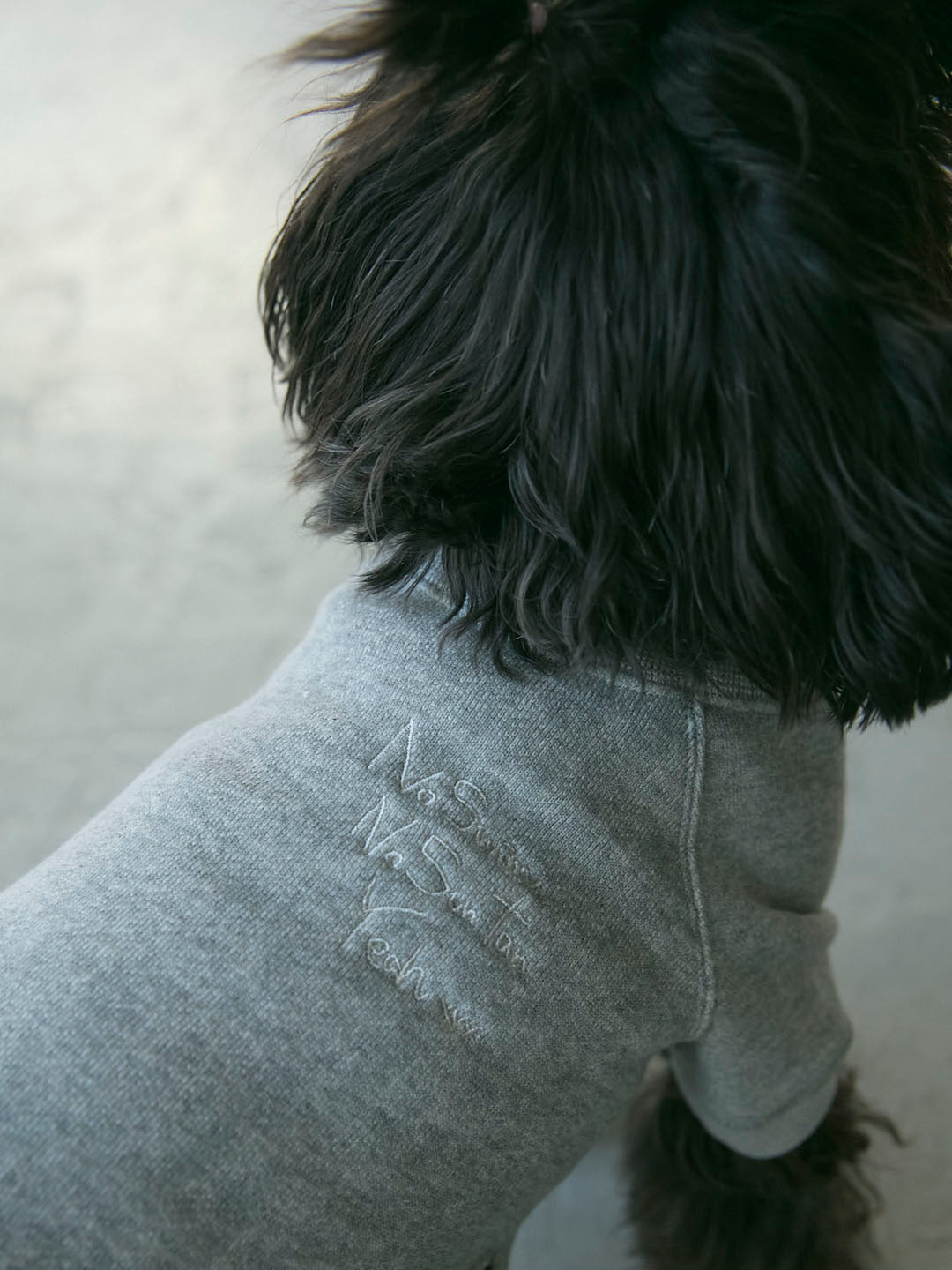 No Swim Club Dog wear(G0135-J1CO02)