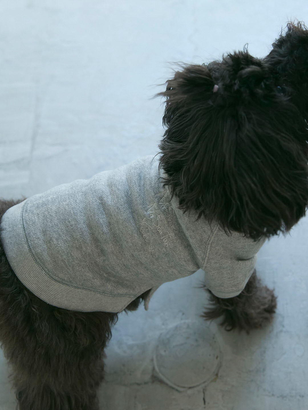 No Swim Club Dog wear(G0135-J1CO02)